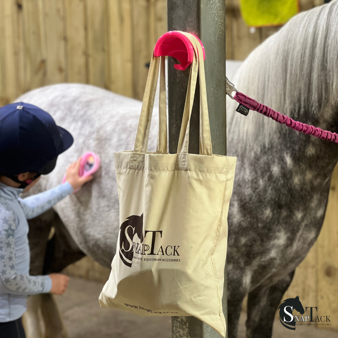 SnapTack Magnetic Bridle Holder with Hook - pink