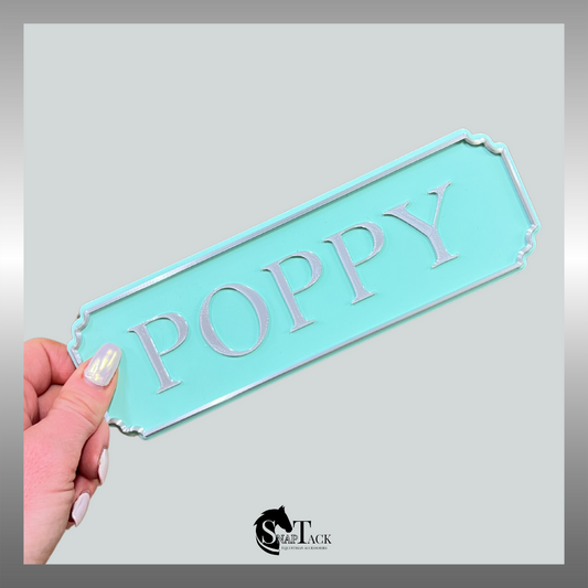 SnapTack Magnetic Door Sign - mint & silver