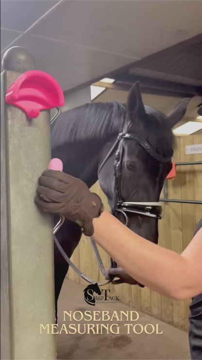 Noseband Measuring Tool