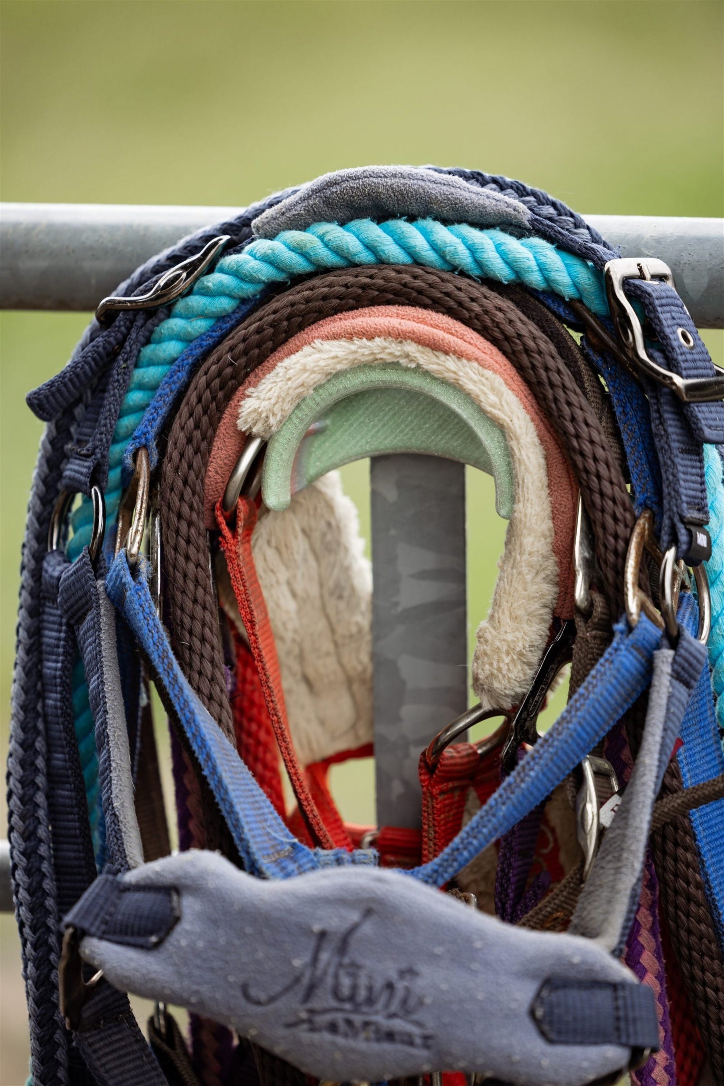Magnetic bridle holder with hook holding tack on a metal field gate